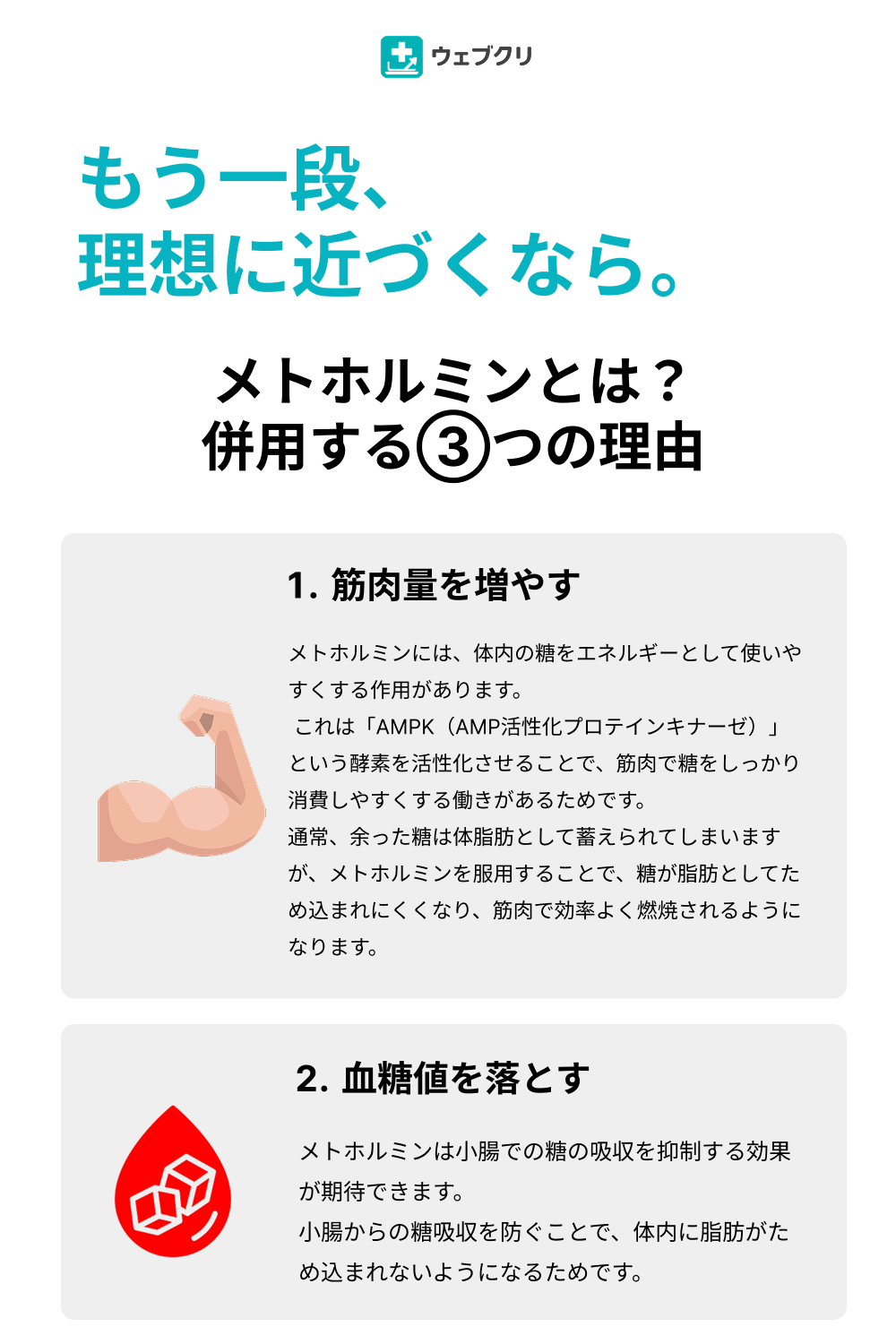 【過剰なカロリー摂取を抑える】メトホルミン 診察チケット