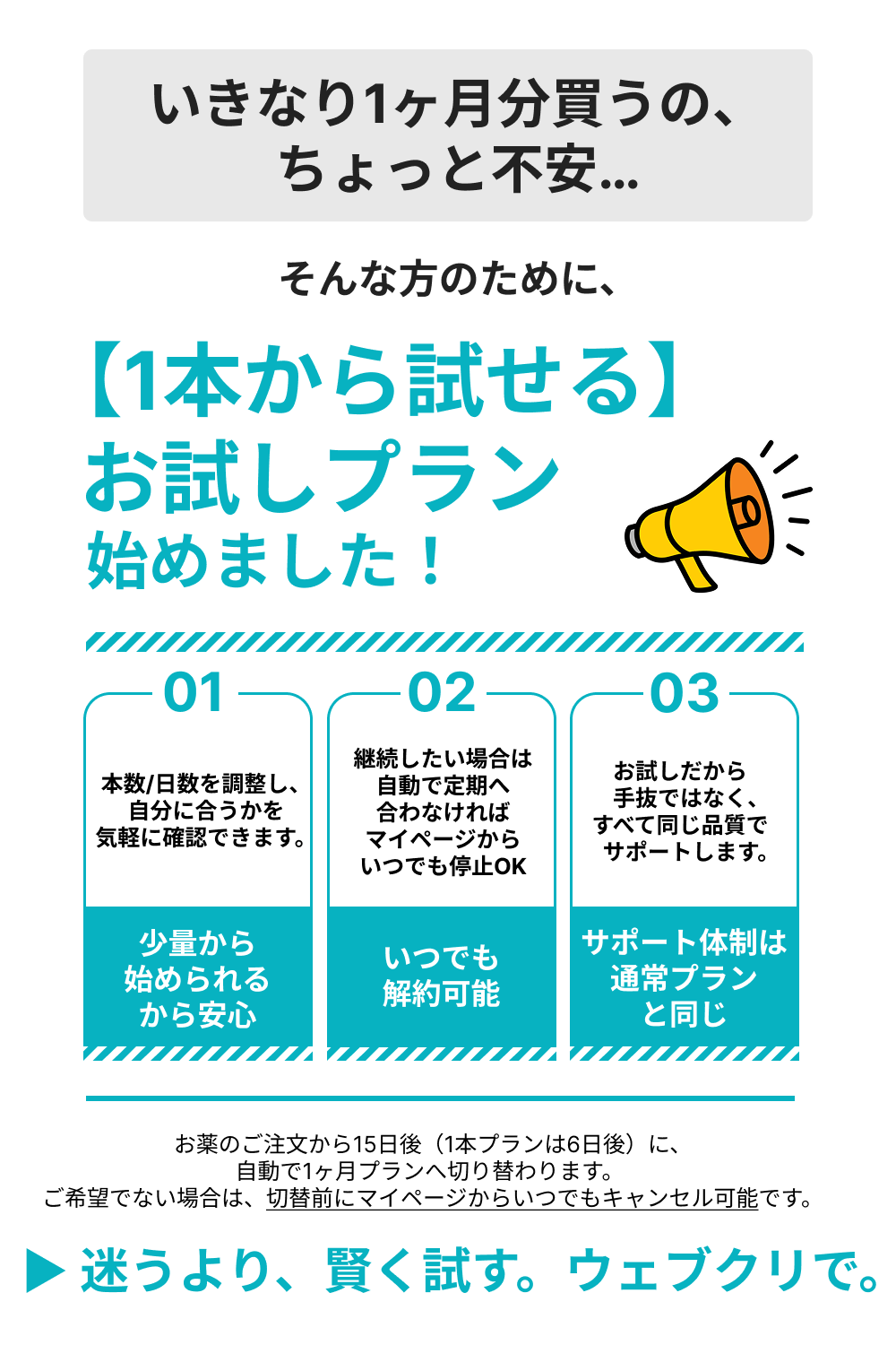 【過剰なカロリー摂取を抑える】メトホルミン 診察チケット