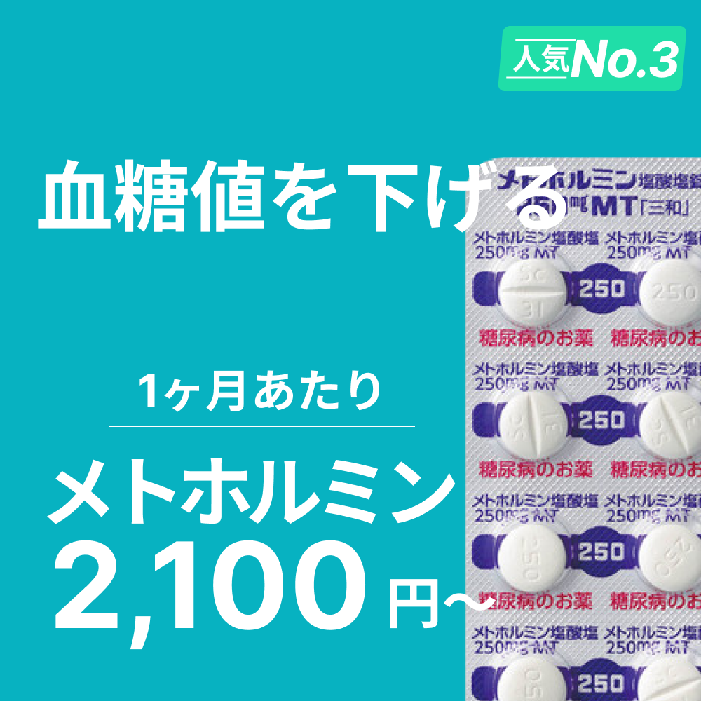 【過剰なカロリー摂取を抑える】メトホルミン 診察チケット