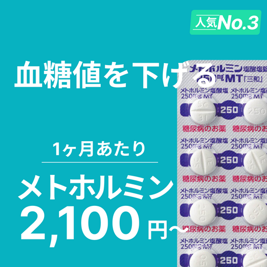 【過剰なカロリー摂取を抑える】メトホルミン 診察チケット