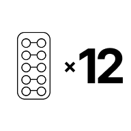 12ヶ月ごと